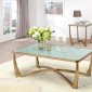 Orlando Coffee & End Table 3Pc Set 80340 in Champagne by Acme