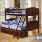 460212 Parker Bunk Bed in Dark Cappuccino by Coaster