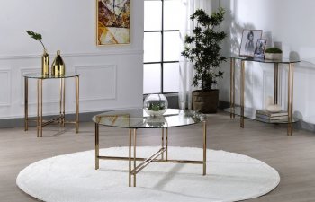 Veises Coffee Table 3Pc Set 82995 in Champagne by Acme [AMCT-82995 Veises]