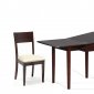 Dark Walnut Modern Dining Table w/Extension & Optional Chairs