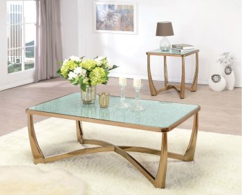 Orlando Coffee & End Table 3Pc Set 80340 in Champagne by Acme [AMCT-80340-Orlando]