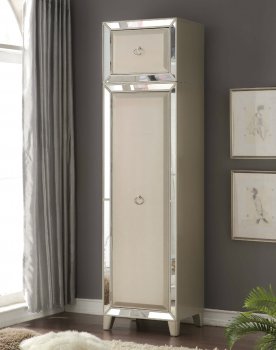 Voeville Single Door Wardrobe 20988 in Antique Gold by Acme [AMWA-20988-Voeville]