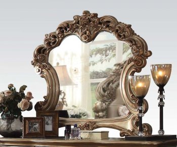 Vendome Mirror 23004 in Gold Patina by Acme [AMMR-23004 Vendome]