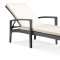 Black & White Modern Outdoor Bathing Lounge Chair