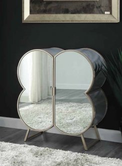 Clover Cabinet 73228 in Mirror & Metal by Acme