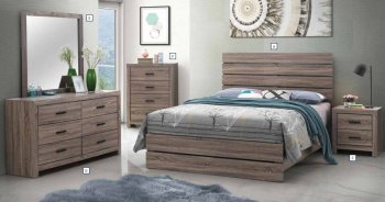 Brantford 5Pc Bedroom Set 207041 in Barrel Oak by Coaster [CRBS-207041-Brantford]