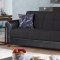 Passaic Sofa Bed & Loveseat Bed Set in Black by Empire w/Options