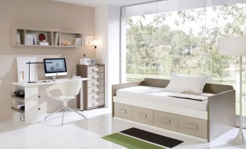 Two-Tone Modern Storage Bed w/Optional Desk, Chest & Shelf [EFBS-CR1219]