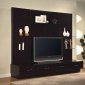 Cappuccino Finish Contemporary Tv Console W/Storages & Shelves