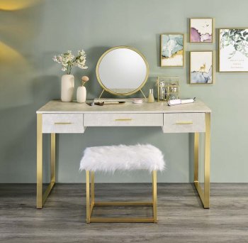 Myles Vanity Desk AC00841 in Antique White & Champagne by Acme [AMVA-AC00841 Myles]