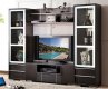 AV270-48 Wall Unit in Wenge by Pantek