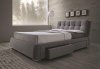 Fenbrook 300523 Upholstered Bed in Gray by Coaster w/Storage