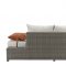 Salena Patio Sofa & Ottoman 45015 in Beige & Gray by Acme