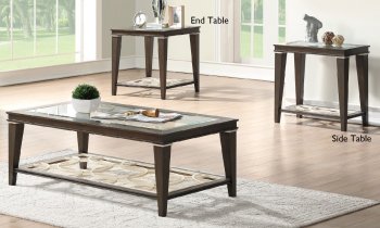 Peregine 3Pc Coffee & End Table 87990 in Dark Brown by Acme [AMCT-87990-Peregrine]