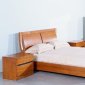 Teak Semi Gloss Finish Elegant Bedroom w/Options