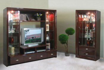 Contemporary Wenge Finish Wall Unit [EFTV-D216 Wenge]