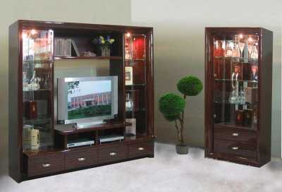 Contemporary Wenge Finish Wall Unit