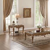 Orianne Coffee Table 80690 in Antique Gold & Mirror by Acme