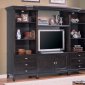 Deep Cappuccino Finish Grande Wall Unit W/Shelves & Lights