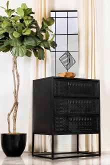 Alcoa Tall Accent Cabinet 959565 in Black by Coaster