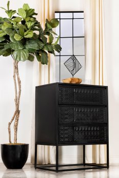 Alcoa Tall Accent Cabinet 959565 in Black by Coaster [CRCA-959565 Alcoa]