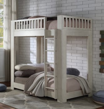 Cedro Bunk Bed BD00612 in Weathered White by Acme [AMKB-BD00612 Cedro]