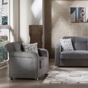 Vision Diego Gray Sofa Bed & Loveseat Set by Istikbal w/Options