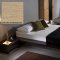 Whitened Oak Finish Modern Platform Bed