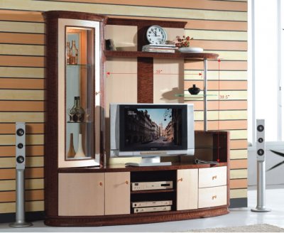 Two-Tone Modern Wall Unit With Display Cabinet