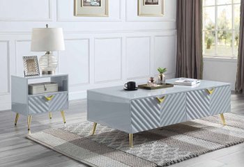 Gaines Coffee & End Tables 3Pc Set LV01135 in Gray by Acme [AMCT-LV01135 Gaines]