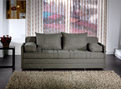 Olive Fabric Modern Elegant Sleeper Sofa