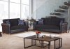 Passaic Sofa Bed & Loveseat Bed Set in Black by Empire w/Options