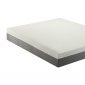 F8250 10" Memory Foam Mattress by Boss