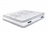 Premium 17.5" Orthopedic Mattress SS471004 by Spectra