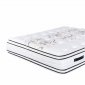 Premium 17.5" Orthopedic Mattress SS471004 by Spectra