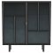 Dalia Accent Cabinet 950385 in Black by Coaster