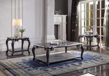 House Delphin Coffee Table 3Pc Set 88833 in Charcoal by Acme [AMCT-88835 House Delphine]