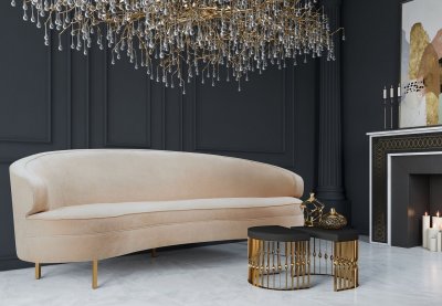 Baila Sofa TOV-S177 in Champagne Velvet Fabric by TOV Furniture