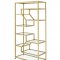 Lecanga Bookshelf 92480 in Gold & Glass by Acme