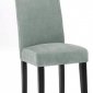 Lagoon Fabric Modern Set of 2 Versa Dining Chairs