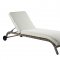 Salena Patio Sun Lounge Chair OT01094 in Beige & Gray by Acme