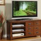 CM5030 Estella TV Console in Medium Oak