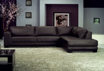 SF6573 Sectional Sofa in Brown Full Leather by At Home USA [AHUSS-SF6573 Brown]