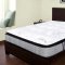 Organic 11" Orthopedic Mattress SS571002 by Spectra