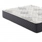 Aspen Firm 12.25" Mattress 350381 by Coaster w/Options