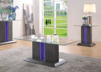 Rhyl 3PC Coffee & End Table Set CM4717 in Gray w/Options [FACT-CM4717-Rhyl]