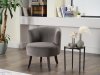 Cedar Accent Chair Set of 2 in Gray Fabric by Bellona