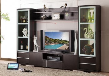 AV270-60 Wall Unit in Wenge by Pantek [PKWU-AV270-60 Wenge]