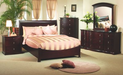 Rich Cappuccino Finish Modern Bedroom Set