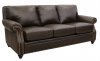 Mason Sofa & Loveseat Set in Arabica Finish by Luke Leather